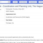 Visiting Professional – Coordination & Planning (Hague)