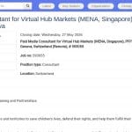 Consultant·e Paid Media – Marchés virtuels (MENA, Singapour)