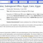 Représentant·e UNIDO au Caire – Bureau sous-régional Égypte