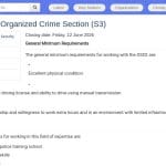 Chef de la Section Crime Organisé et Sérieux (S3)