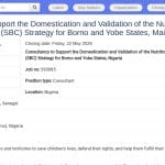 Consultant en nutrition SBC pour Borno et Yobe