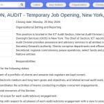 Chef de Section Audit (TIC) – Nations Unies, New York