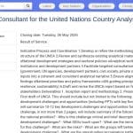 Consultant·e national·e principal·e pour l&rsquo;analyse pays de l&rsquo;ONU