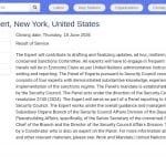 Expert en Groupes Armés – Panel de Sanctions ONU