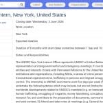 Stagiaire en Prévention du Crime – Nations Unies
