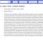 Expert humanitaire – Panel de sanctions ONU (New York)