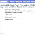 Consultant national en politique sociale et finances publiques – UNICEF Liban
