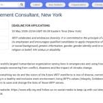 Consultant en gestion de partenariats – New York
