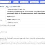 Consultor·a en Estrategia de Kits Tecnológicos para Aprendizaje Digital