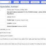 Spécialiste Data et Analyse – UNICEF Amman