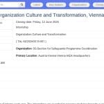 Stage en Culture Organisationnelle et Transformation – AIEA