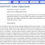 Assistant·e aux droits humains – UNAMA, Kaboul