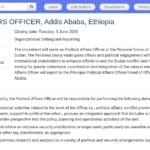 Chargé des Affaires Politiques – Soudan (Addis-Abeba)