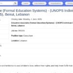 Associé Éducation (Systèmes Formels) – UNICEF Beyrouth