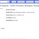 Senior Assistant en Gestion de Projets – Managua