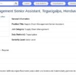 Assistant Senior Gestion Chaîne d&rsquo;Approvisionnement