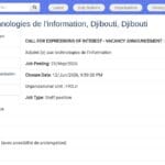 Adjoint(e) aux Technologies de l&rsquo;Information – FAO Djibouti