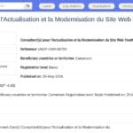 Consultant(e) Modernisation Site Web YouthConnekt Cameroun