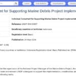 Consultant individuel – Mise en œuvre du projet Déchets marins, Indonésie
