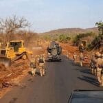 Mali : abattage d&rsquo;arbres sur la route nationale à Negela