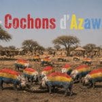 Regroupement des groupes armés au nord du Mali avant des attaques