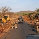 Mali : abattage d&rsquo;arbres sur la route nationale à Negela