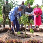 Togo : campagne nationale de reboisement en juin pour un milliard d&rsquo;arbres