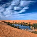 Le Grand mur vert africain contre l&rsquo;avancée du Sahara