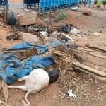 Accident à Komsilga : deux morts dans le renversement d’un camion
