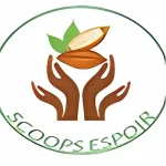 Appui technique et comptable pour projet cacao durable