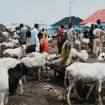 Aïd al-Adha 2026 en Afrique : célébrations, crise et sécurité