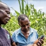 Apollo Agriculture lève 2,1 millions $ par titrisation au Kenya