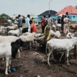 Aïd al-Adha 2026 en Afrique : foi, crise et insécurité