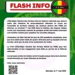 Frappes aériennes maliennes contre une colonne de GAT le 1er mai