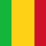 Mali proteste auprès de l&rsquo;Arabie saoudite pour un journaliste