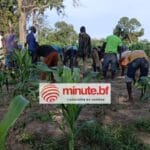 Production agricole carcérale au Burkina : 722 tonnes visées en 2026