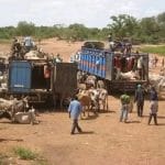 Burkina Faso suspend l’exportation du bétail sur tout le territoire
