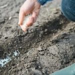 PhosCo découvre deux gisements de phosphates en Tunisie