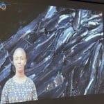 Burkina Faso : 169 capsules vidéo pour la pisciculture