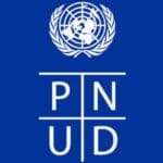 Consultant en Archivage Numérique – PNUD Togo