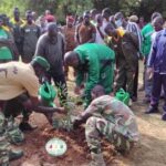 Nayala : mobilisation pour reverdir la province burkinabè