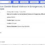 Consultant national – Violences basées sur le genre en situations d&rsquo;urgence, Mekele