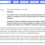 Conseiller principal – Prévention des conflits et minorités nationales