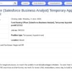 Responsable Fundraising CRM Salesforce (Analyste Métier)