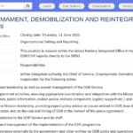 Responsable principal du désarmement, démobilisation et réintégration (DDR) – BINUH