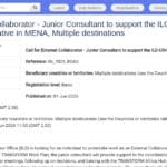 Consultant junior – Initiative TRANSFORM OIT-UNICEF, MENA