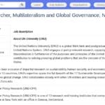 Chercheur en gouvernance mondiale et multilatéralisme