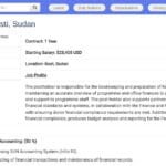 Responsable Financier – Bureau de Kosti (Soudan)