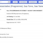 Assistant·e au Représentant FAO – Programme, São Tomé