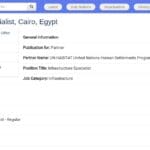 Spécialiste en Infrastructures Urbaines – Le Caire